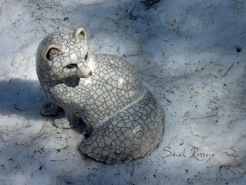 Renard polaire Raku